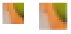 Avatar.PNG