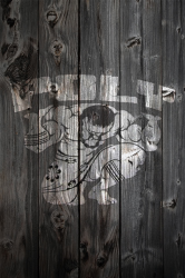 Poly Wood.png