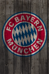 FCBayern Wood2.png