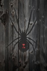 Black Widow - Weathered Wood Background.jpg