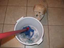 IMG_0380.JPG