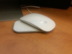 IMG00093-20110128-0404.jpg