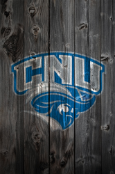 CNU Wood.png