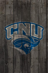 CNU Wood2.png