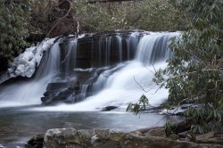 IMG_5344.jpg