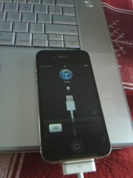 2011-02-07 14.03.28.jpg
