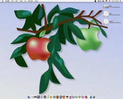 Picture-1.jpg