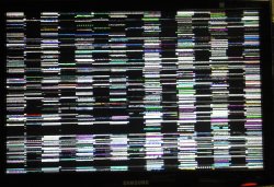 screen.jpg