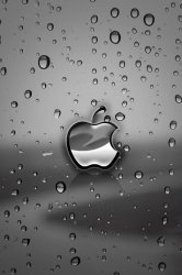 Apple_Rain.jpg