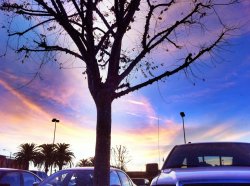 iPhone 4 pictures 069.jpg