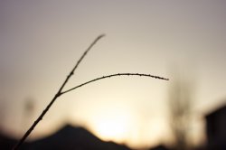 Photo.JPG
