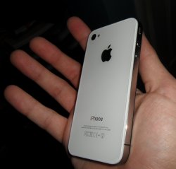 SAM_0725.jpg