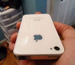 SAM_0727.jpg
