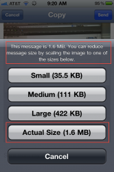 photo.PNG