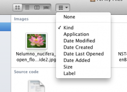 Screen Shot 2011-02-26 at 9.13.20 AM.png