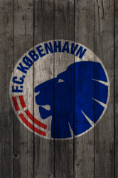 Kobenhavn Wood2.png