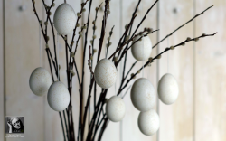 Screen shot 2011-03-01 at 8.04.16 PM.png