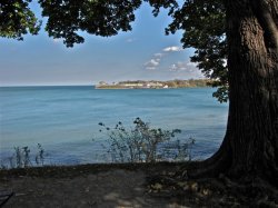 IMG_0646.jpg