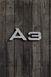 A3 Badge Shadow Wood2.png