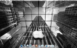 Screen shot 2011-03-08 at 1.48.23 PM.jpg