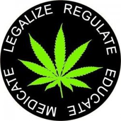 420lawyer03.jpg