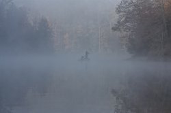 Fisherman.jpg