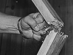 08_2010_NikonD700v2_ 2.jpg