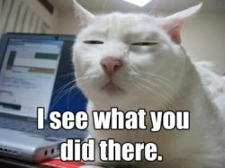 1246840720-798884-400x300-I-see-what-you-did-there.jpg