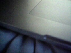 Picture 13.jpg