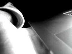 Picture 17.jpg