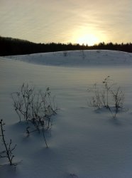 vermont skiing.jpg