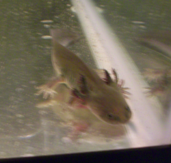 Screen shot 2011-03-19 at 12.40.55 PM.png