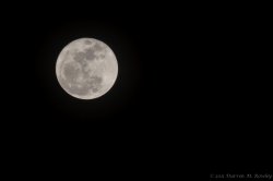 IMG_1702.jpg