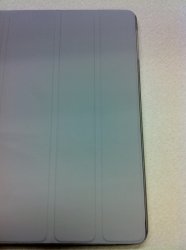 iPad 2 with Feather 010 small.jpg