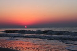 IMG_0267.jpg