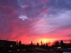 sunset.jpg