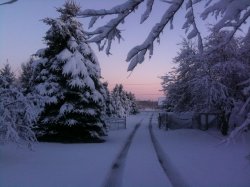 photo 5.jpg