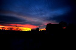 DSC_1889.jpg