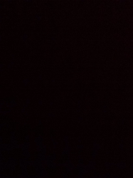 IMG_0067.PNG
