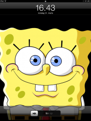 foto.PNG