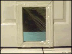 cat-door.jpg cat-door.jpg