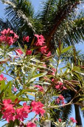 1. Ft. Lauderdale.jpg