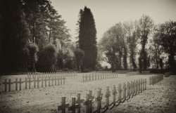 Crosses Row on Row.jpg