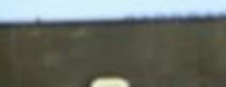 231008-S4022974_500.jpg
