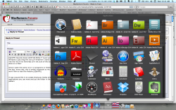 Screen shot 2011-04-06 at 10.41.38 AM.png