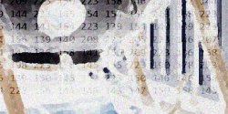 merged image.jpg