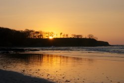 DSC_3906.jpg