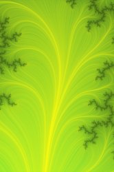 Fractal v6 2.jpg