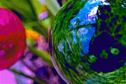 _DSC0232.gif