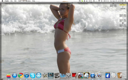 Screen shot 2011-04-24 at 12.33.22 PM.png